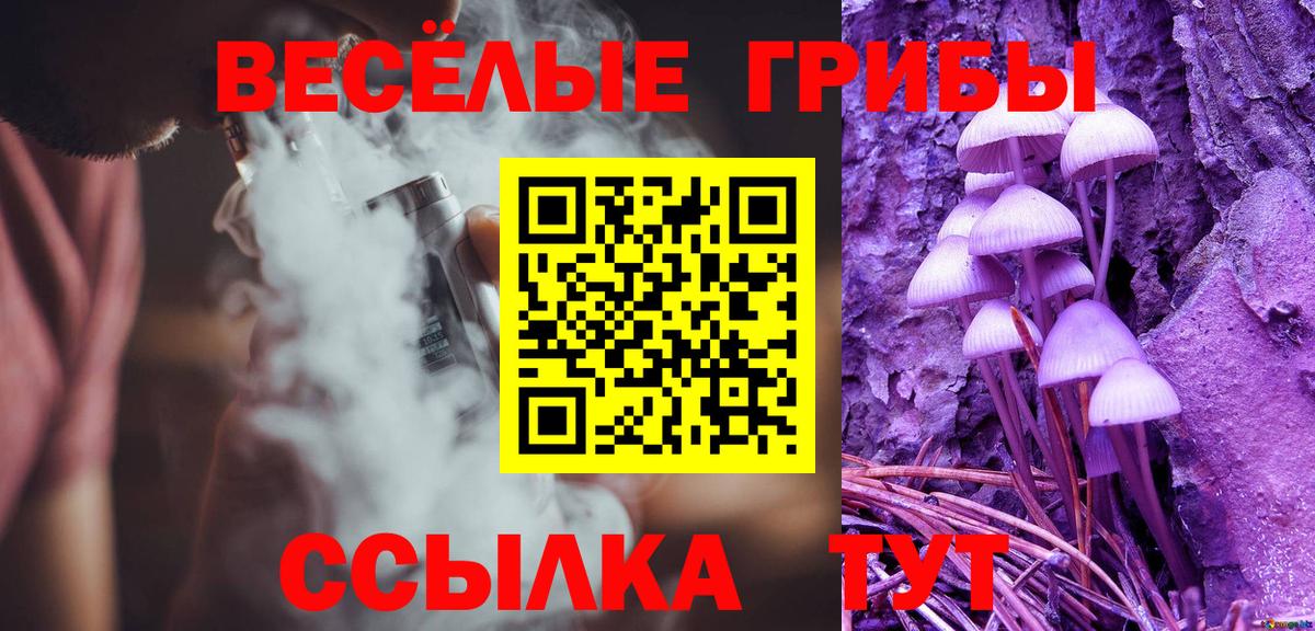 Галлюциногенные грибы Psilocybine cubensis  Вход с VPN  Псилоцибиновые грибы Psilocybine cubensis  Миллерово 